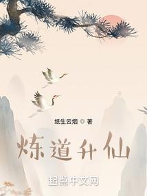 炼道升仙雅阅