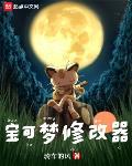 宝可梦修改器什么功能