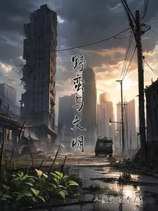 野蛮的文明这本书值得看吗