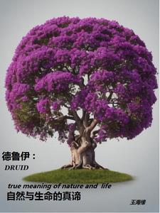 德鲁伊是啥意思
