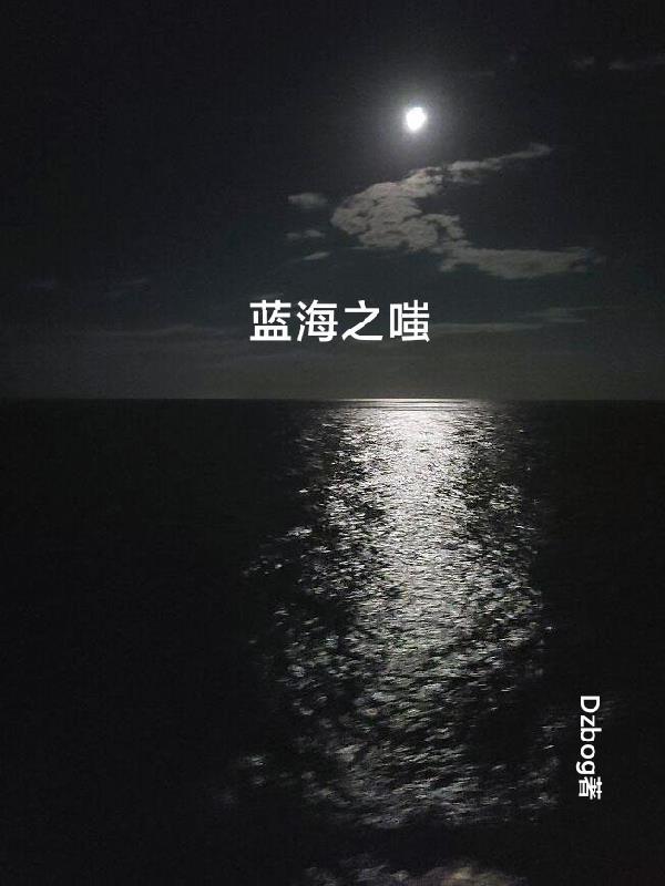 蓝海之略公司