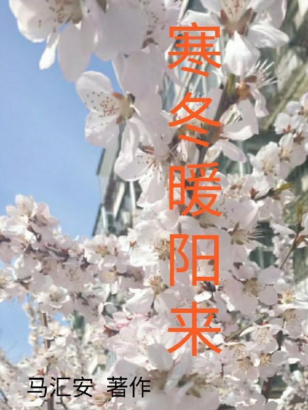 寒冬无暖阳下一句