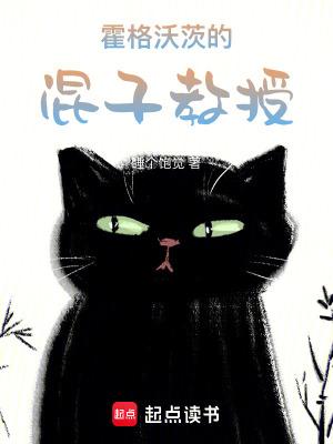 霍格沃茨教授的