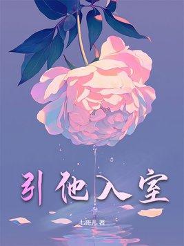 引他入室完整版免费全集