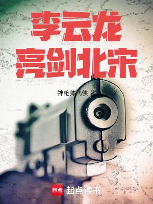 李云龙亮剑北宋笔趣阁