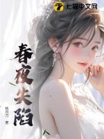 春夜作者