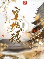 皇城诱讲的什么