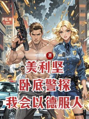 美国卧底