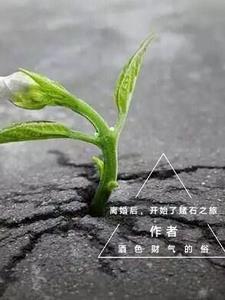 离婚后的我开始转运了 无错