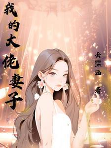 我的老婆大佬3完整