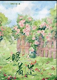 一眼着迷 笔趣阁